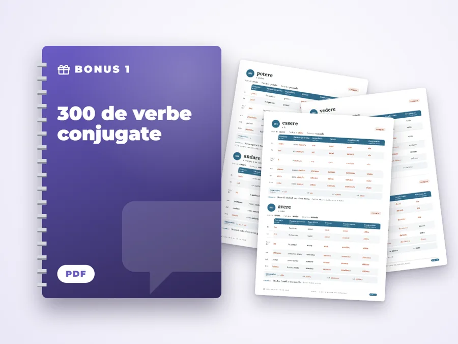 300 de verbe conjugate